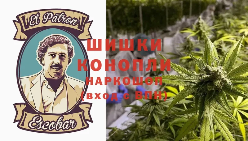 Конопля THC 21%  Горняк 